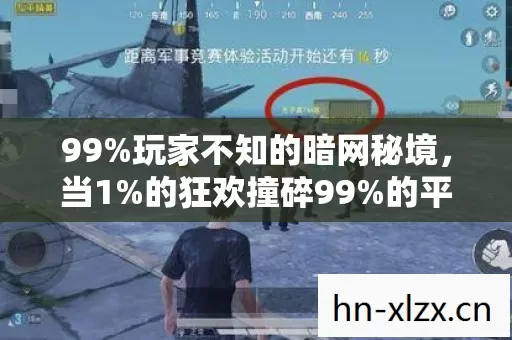 99%玩家不知的暗网秘境,当1%的狂欢撞碎99%的平凡人生 99%玩家不知的暗网秘境,当1%的狂欢撞碎99%的平凡人生