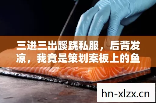 三进三出蹊跷私服，后背发凉，我竟是策划案板上的鱼！
