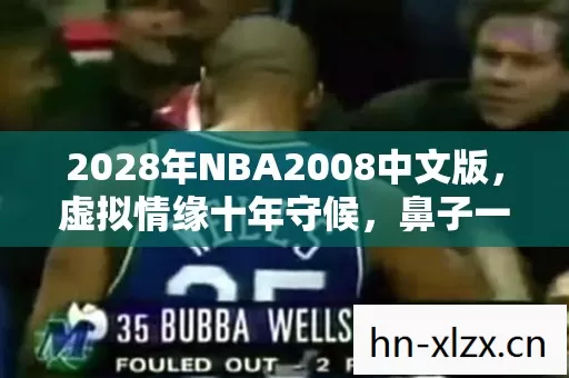 2028年NBA2008中文版，虚拟情缘十年守候，鼻子一酸终是梦