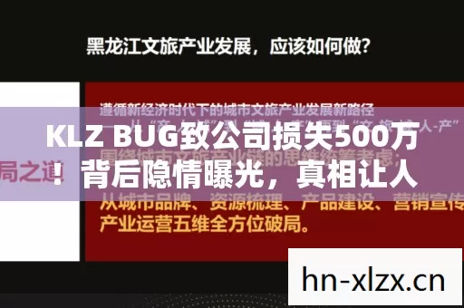 KLZ BUG致公司损失500万！背后隐情曝光，真相让人吓一跳！
