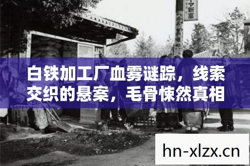 白铁加工厂血雾谜踪图片