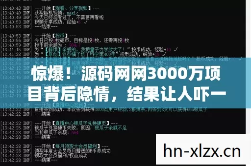 源码网网3000万项目背后隐情图片
