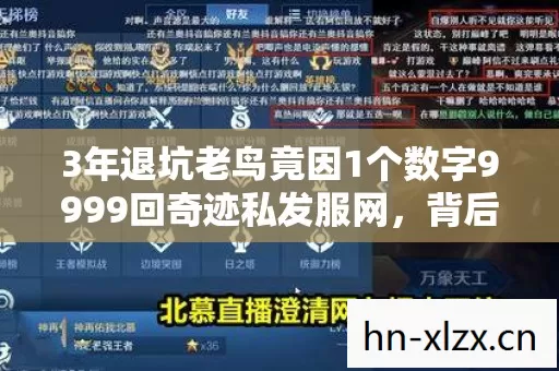 3年退坑老鸟竟因1个数字9999回奇迹私发服网，背后真相太震撼！