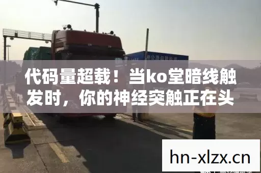 代码量超载！当ko堂暗线触发时，你的神经突触正在头皮发麻地变异