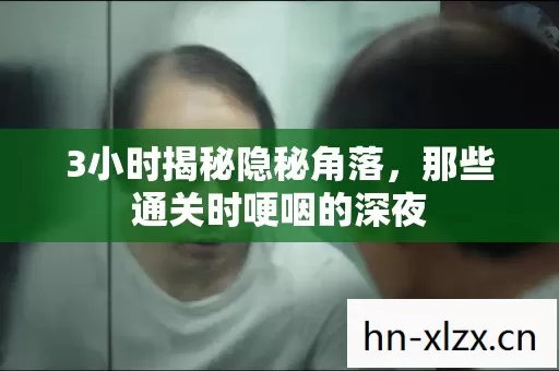3小时揭秘隐秘角落,那些通关时哽咽的深夜 3小时揭秘隐秘角落,那些通关时哽咽的深夜