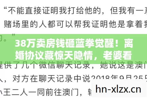 38万卖房钱砸蓝拳觉醒！离婚协议藏惊天隐情，老婆看到账单吓一跳！