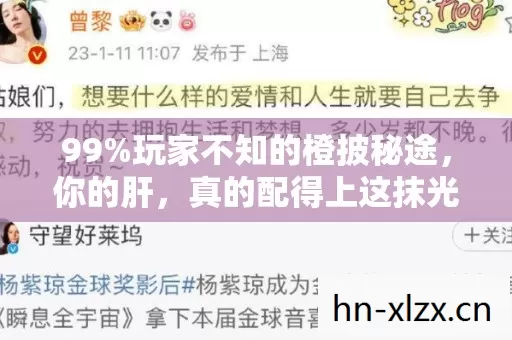 99%玩家不知的橙披秘途,你的肝,真的配得上这抹光吗? 99%玩家不知的橙披秘途,你的肝,真的配得上这抹光吗?