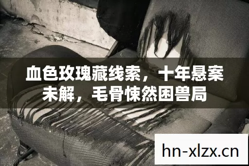 血色玫瑰藏线索,十年悬案未解,毛骨悚然困兽局 血色玫瑰藏线索,十年悬案未解,毛骨悚然困兽局