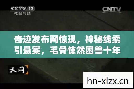 奇迹发布网惊现,神秘线索引悬案,毛骨悚然困兽十年未出之谜 奇迹发布网惊现,神秘线索引悬案,毛骨悚然困兽十年未出之谜