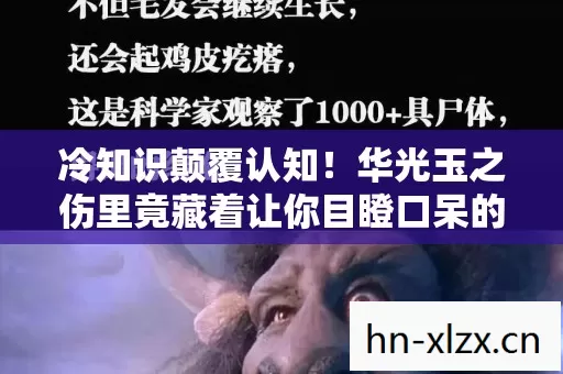 冷知识颠覆认知!华光玉之伤里竟藏着让你目瞪口呆的隐藏设计 冷知识颠覆认知!华光玉之伤里竟藏着让你目瞪口呆的隐藏设计
