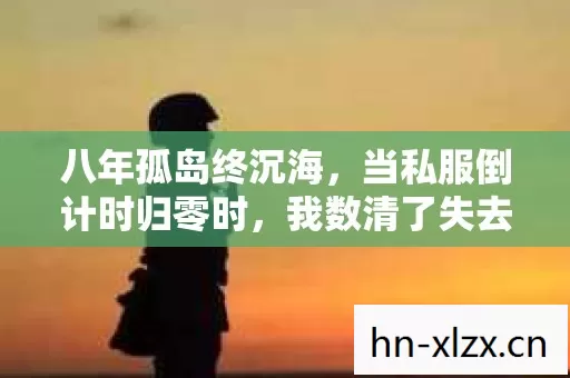 八年孤岛终沉海,当私服倒计时归零时,我数清了失去的每一粒像素 八年孤岛终沉海,当私服倒计时归零时,我数清了失去的每一粒像素