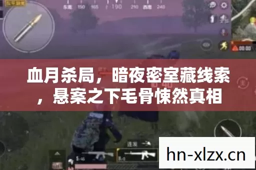 血月杀局,暗夜密室藏线索,悬案之下毛骨悚然真相 血月杀局,暗夜密室藏线索,悬案之下毛骨悚然真相