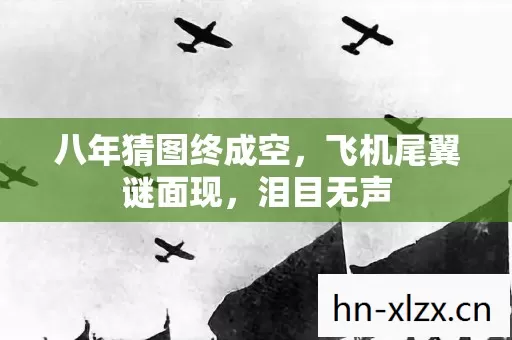 八年猜图终成空,飞机尾翼谜面现,泪目无声 八年猜图终成空,飞机尾翼谜面现,泪目无声