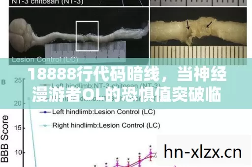 18888行代码暗线,当神经漫游者OL的恐惧值突破临界点,你的大脑正在被AI寄生 18888行代码暗线,当神经漫游者OL的恐惧值突破临界点,你的大脑正在被AI寄生