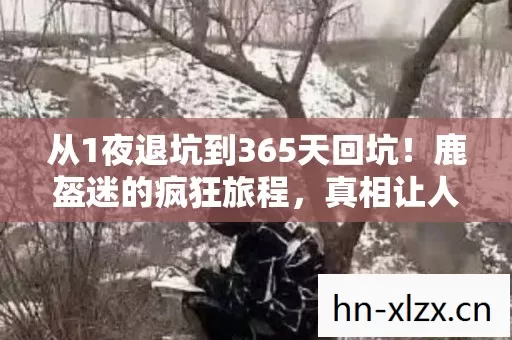 从1夜退坑到365天回坑!鹿盔迷的疯狂旅程,真相让人惊掉下巴! 从1夜退坑到365天回坑!鹿盔迷的疯狂旅程,真相让人惊掉下巴!