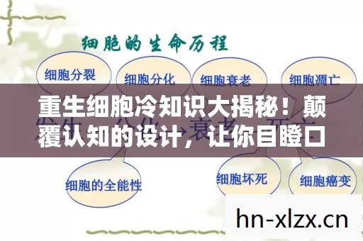重生细胞冷知识大揭秘!颠覆认知的设计,让你目瞪口呆! 重生细胞冷知识大揭秘!颠覆认知的设计,让你目瞪口呆!