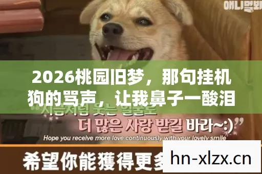 2026桃园旧梦，那句挂机狗的骂声，让我鼻子一酸泪满襟