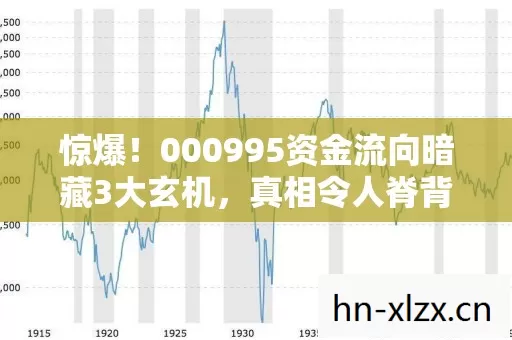 惊爆!000995资金流向暗藏3大玄机,真相令人脊背发凉! 惊爆!000995资金流向暗藏3大玄机,真相令人脊背发凉!