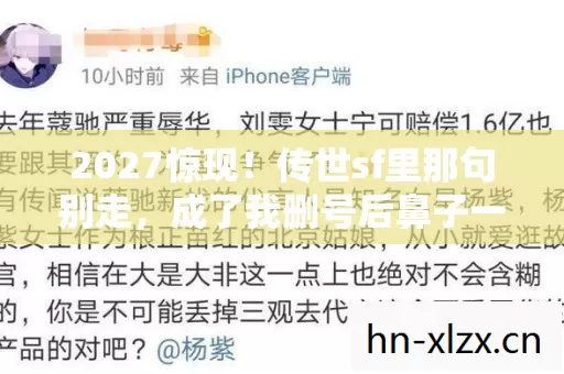 2027惊现！传世sf里那句别走，成了我删号后鼻子一酸的伏笔
