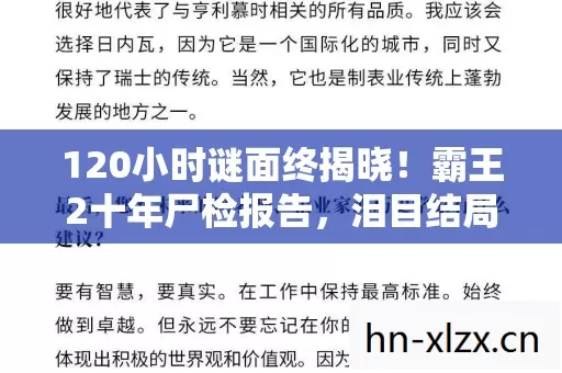 120小时谜面终揭晓!霸王2十年尸检报告,泪目结局竟藏在这串代码里 120小时谜面终揭晓!霸王2十年尸检报告,泪目结局竟藏在这串代码里