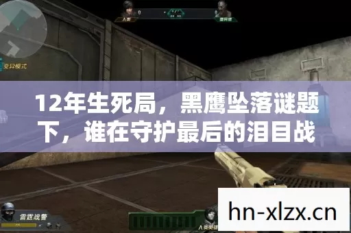12年生死局,黑鹰坠落谜题下,谁在守护最后的泪目战场? 12年生死局,黑鹰坠落谜题下,谁在守护最后的泪目战场?