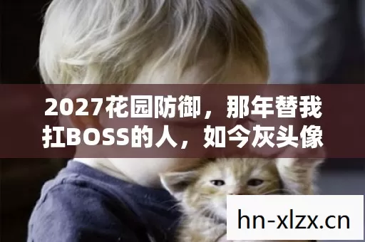 2027花园防御，那年替我扛BOSS的人，如今灰头像竟鼻子一酸地亮了