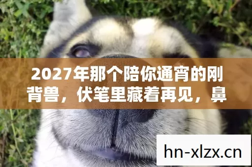 2027年那个陪你通宵的刚背兽,伏笔里藏着再见,鼻子一酸才懂离散 2027年那个陪你通宵的刚背兽,伏笔里藏着再见,鼻子一酸才懂离散