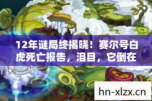 12年谜局终揭晓!赛尔号白虎死亡报告,泪目,它倒在了2035年 12年谜局终揭晓!赛尔号白虎死亡报告,泪目,它倒在了2035年