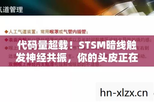 代码量超载!STSM暗线触发神经共振,你的头皮正在量子化发麻 代码量超载!STSM暗线触发神经共振,你的头皮正在量子化发麻