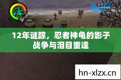 12年谜踪，忍者神龟的影子战争与泪目重逢