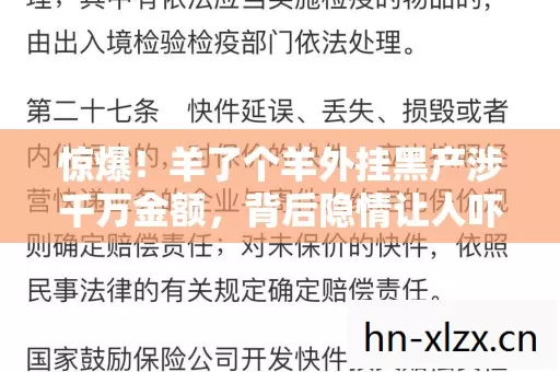 惊爆！羊了个羊外挂黑产涉千万金额，背后隐情让人吓一跳！
