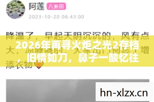 2026年再寻火炬之光2存档，旧情如刀，鼻子一酸忆往昔