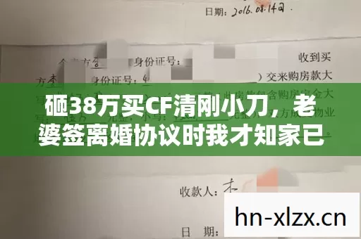 砸38万买CF清刚小刀,老婆签离婚协议时我才知家已塌! 砸38万买CF清刚小刀,老婆签离婚协议时我才知家已塌!