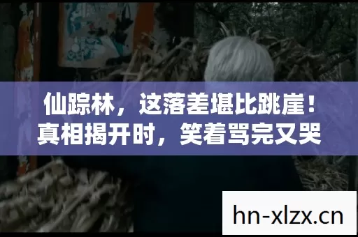 仙踪林,这落差堪比跳崖!真相揭开时,笑着骂完又哭着打开 仙踪林,这落差堪比跳崖!真相揭开时,笑着骂完又哭着打开