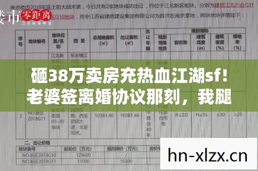 砸38万卖房充热血江湖sf图片