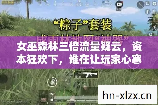 女巫森林三倍流量疑云图片