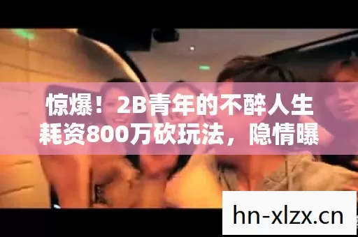 惊爆！2B青年的不醉人生耗资800万砍玩法，隐情曝光吓你一跳！