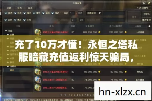 充了10万才懂！永恒之塔私服暗藏充值返利惊天骗局，吓我一跳！