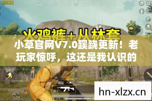 这还是我认识的它吗图片