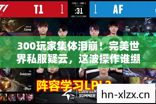 300玩家集体泪崩图片