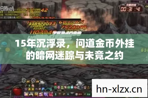 15年沉浮录，问道金币外挂的暗网迷踪与未竟之约