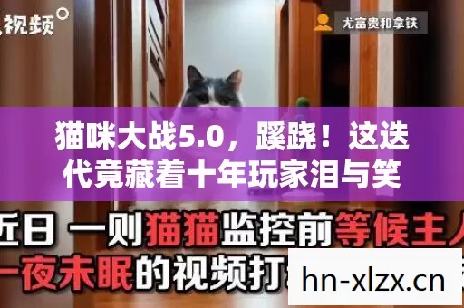 猫咪大战5.0，蹊跷！这迭代竟藏着十年玩家泪与笑