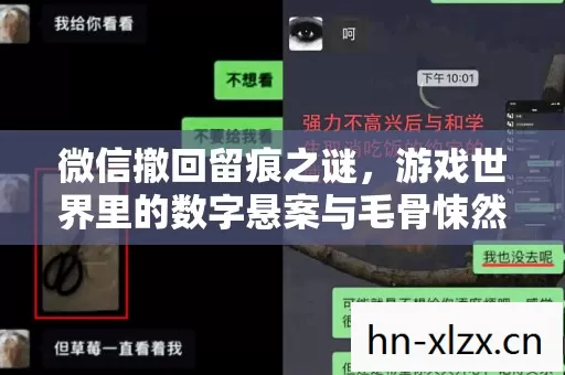 微信撤回留痕之谜，游戏世界里的数字悬案与毛骨悚然真相