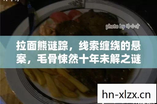 拉面熊谜踪，线索缠绕的悬案，毛骨悚然十年未解之谜