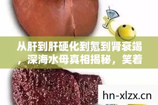 从肝到肝硬化到氪到肾衰竭，深海水母真相揭秘，笑着骂完又真香