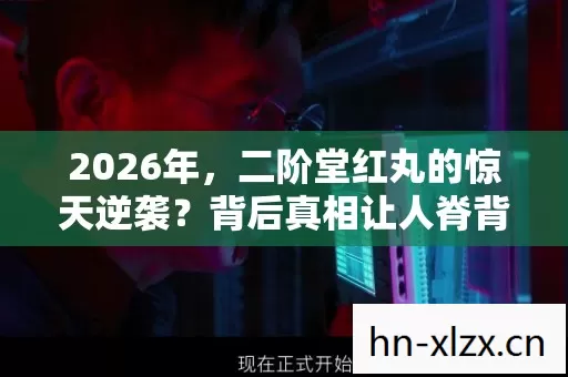 2026年，二阶堂红丸的惊天逆袭？背后真相让人脊背发凉！