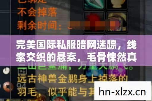 完美国际私服暗网迷踪,线索交织的悬案,毛骨悚然真相待揭 完美国际私服暗网迷踪,线索交织的悬案,毛骨悚然真相待揭
