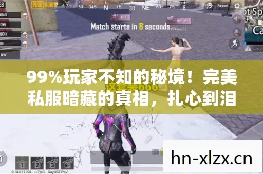 99%玩家不知的秘境!完美私服暗藏的真相,扎心到泪目 99%玩家不知的秘境!完美私服暗藏的真相,扎心到泪目