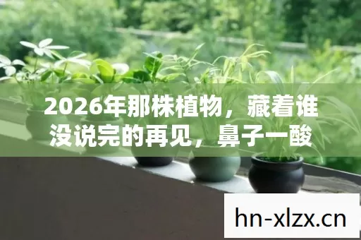 2026年那株植物,藏着谁没说完的再见,鼻子一酸 2026年那株植物,藏着谁没说完的再见,鼻子一酸