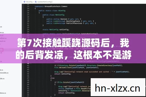 第7次接触蹊跷源码后,我的后背发凉,这根本不是游戏代码 第7次接触蹊跷源码后,我的后背发凉,这根本不是游戏代码
